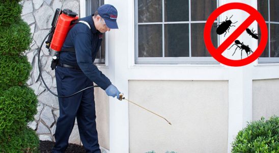 Söğütlü Tahtakurusu İlaçlama böcek ilaçlama ve haşere kontrolü — ilaclama-tr.com